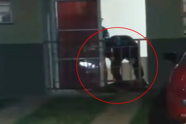 Mulher mata marido em condomínio após briga entre o casal