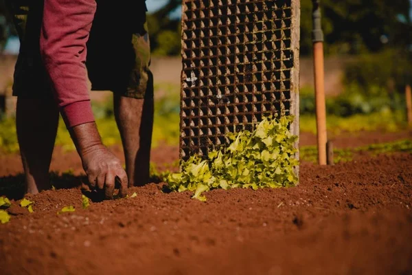 CLDF terá Frente Parlamentar pela reforma agrária e agricultura familiar