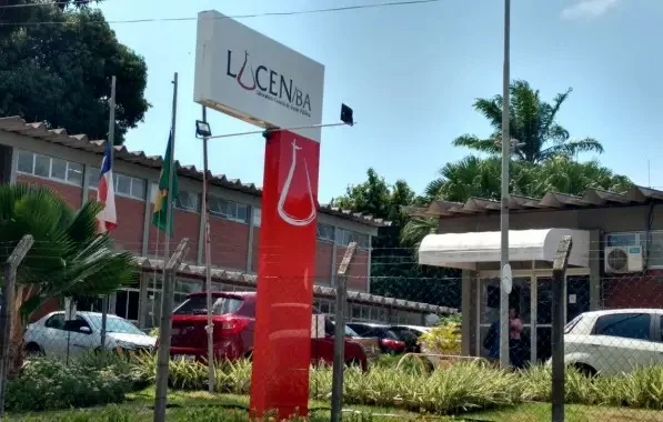 Secretaria da Saúde da Bahia emite alerta após 9 morcegos pegarem raiva