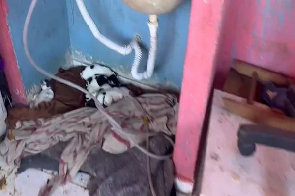Vídeo: criança é resgatada após ser abandonada em casa cheia de lixo