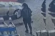 A mulher comparsa