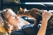 Saiba respeitar o tempo de interação do gato
