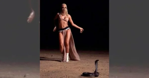 Oi? Famosas usam cobras como acessório de luxo e causam polêmica