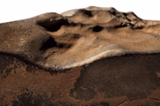 Meteorito que será leiloado 