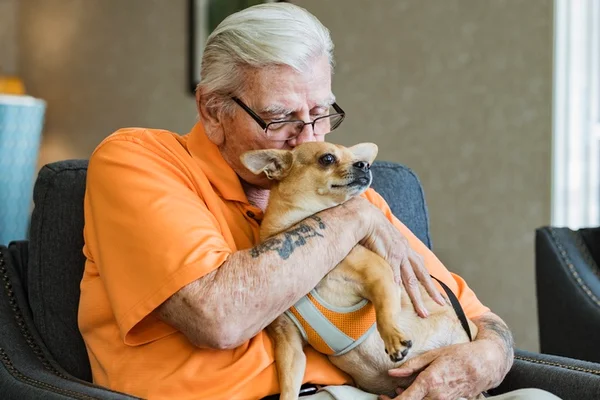 Foto de homem de cabelos brancos e camisa laranja beijando cachorro - Metrópoles
