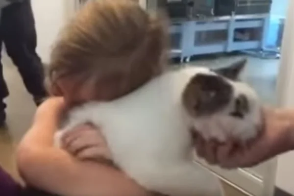 Vídeo. Menina se emociona ao reencontrar gatinho perdido há 3 anos