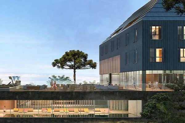 Foto colorida de desenho de projeto de hotel com araucária - Metrópoles