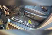 PF usa detector de metais e acha carrões furtados e bolsa Gucci em mata - imagem 6 PF usa detector de metais e acha carrões furtados e bolsa Gucci em mata - imagem 6
