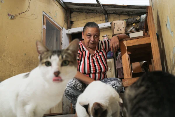 Olívia Ferreira da Silva, 55 anos, dona de 21 gatos