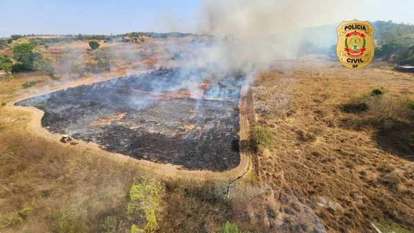 MPF denuncia duas pessoas por incêndio criminoso em reserva do Cerrado