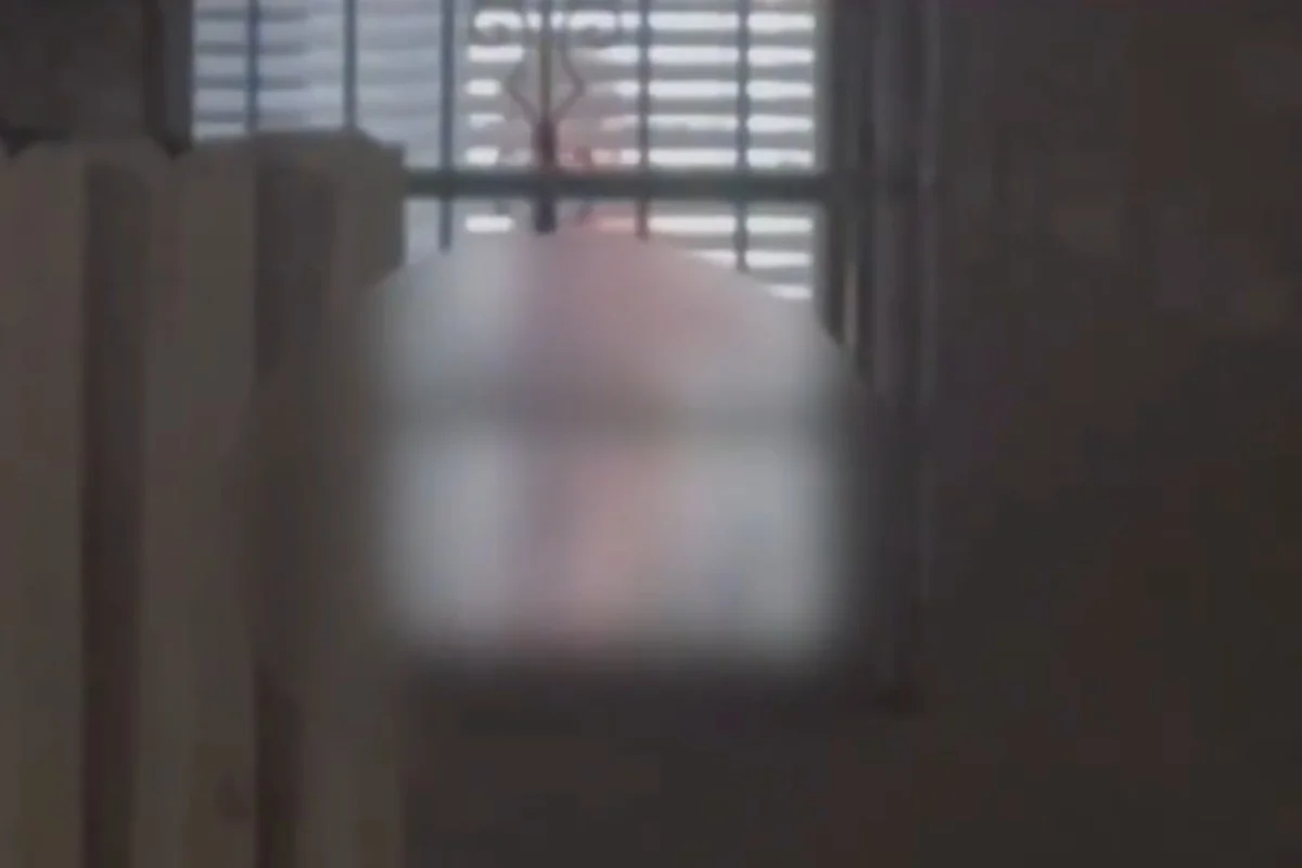 Perez Hilton é visto recebendo atendimento em casa após live com automutilação Perez Hilton é visto recebendo atendimento em casa após live com automutilação