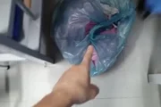Segundo as profissionais de saúde, a gestora jogou as roupas delas no chão 