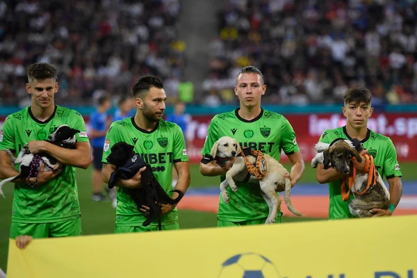 Cachorros jogadores Romênia