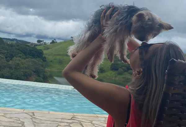 Fotografia colorida mostra Luana e Apollo, cão yorkshire que desapareceu nos EUA - Metrópoles