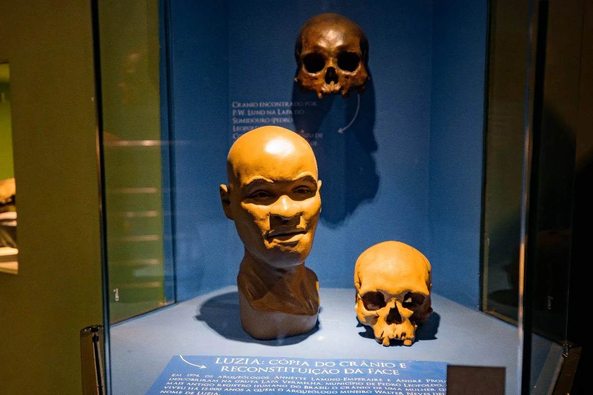 Cópia do crânio e reconstituição da face de Luzia, um dos mais antigos registros de humanos já encontrados nas Américas, datado de aproximadamente 11 mil anos Cópia do crânio e reconstituição da face de Luzia, um dos mais antigos registros de humanos já encontrados nas Américas, datado de aproximadamente 11 mil anos