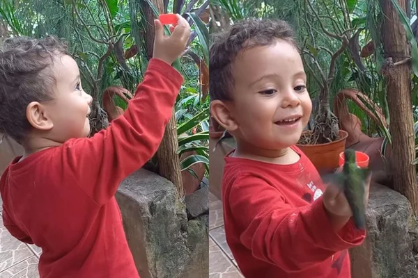 Foto colorida de uma criança com uma beija-flor - Metrópoles