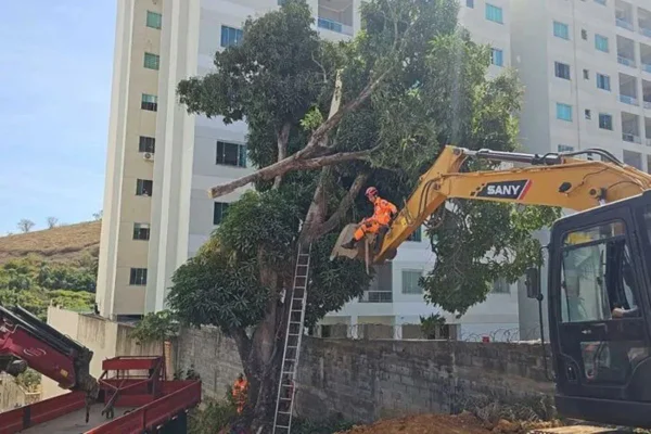 Imagem colorida de caminhão com guindaste e escavadeira foram utilizados para retirar corpo da vítima - Metrópoles