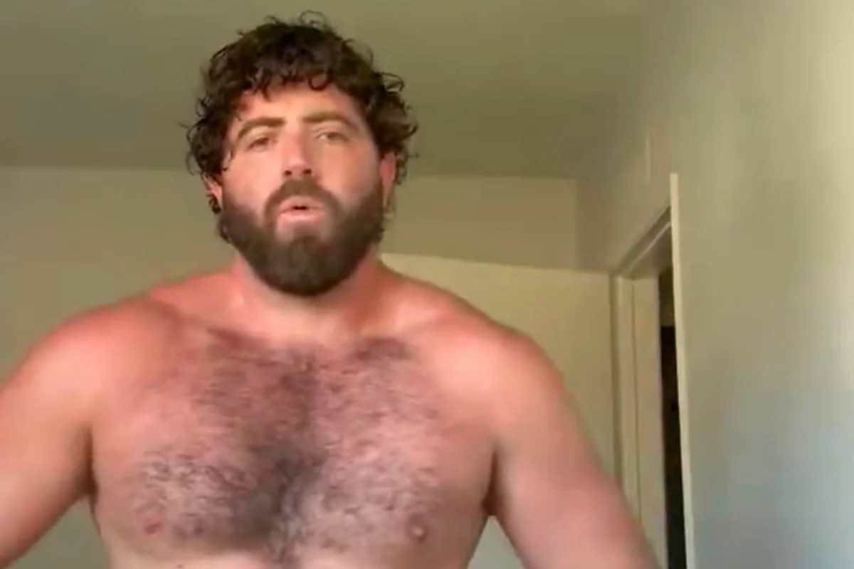 Lula urso bombado Lula urso bombado