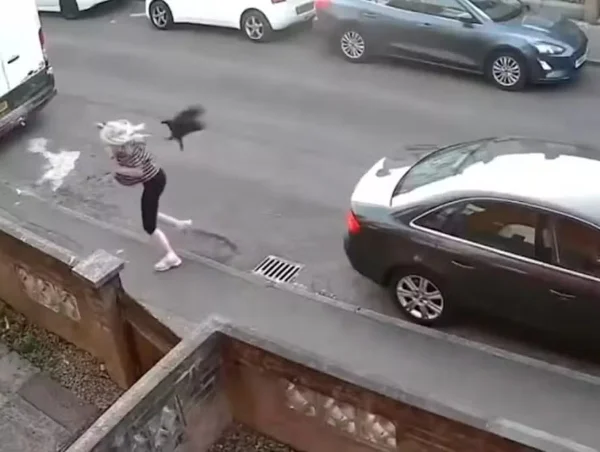 imagem colorida mulher atacada corvo reino unido