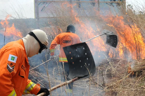 Imagem colorida de profissionais combatendo um incêndio florestal