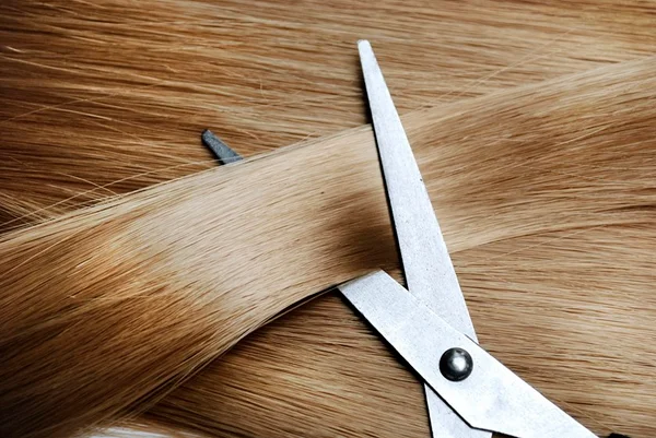 PM prende homem que agrediu e cortou o cabelo da mulher em Samambaia