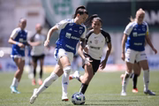 Corinthians e Cruzeiro, finalistas do Brasileirão.