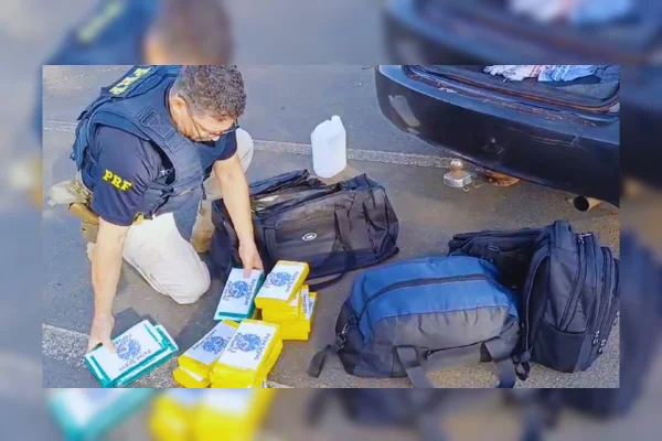 prf e pcdf apreendem 22 tijolos de cocaína na BR 060