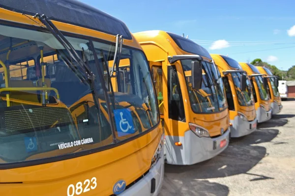 Ônibus amarelos da empresa Carris Porto-Alegrense, do Rio Grande do Sul
