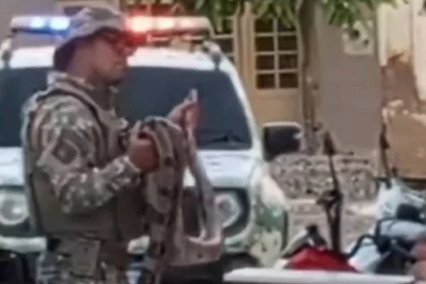 imagem colorida homem é preso apos ir com cobra em bar pe