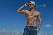 Davi Knipe