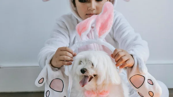 Páscoa: veterinária revela como incluir os pets nas tradições da data