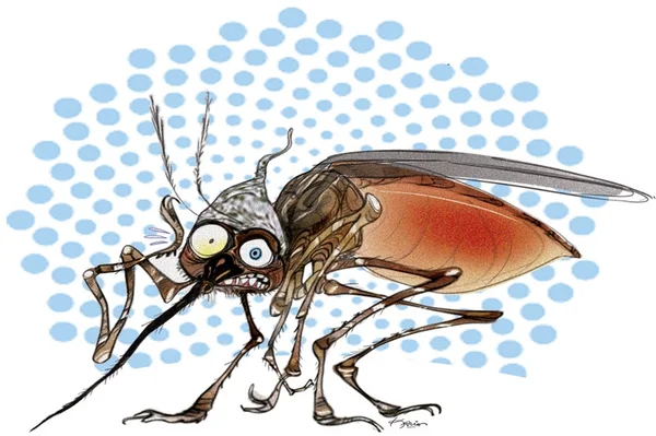 Guerra contra a desinformação. Boatos sobre causas do zika se espalham como o próprio vírus no Brasil