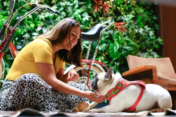 Babás de pet chegam a lucrar R$ 3 mil por mês em Brasília