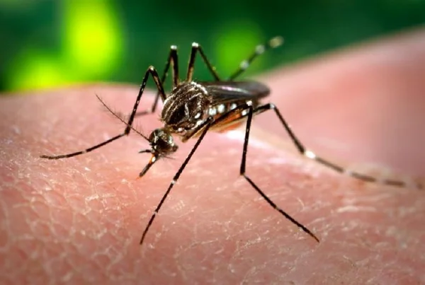 Vacina da dengue será testada em 13 cidades e terá dose única