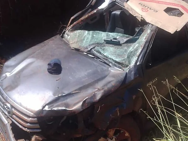 Uma pessoa morre e três ficam feridas após caminhonete bater em anta
