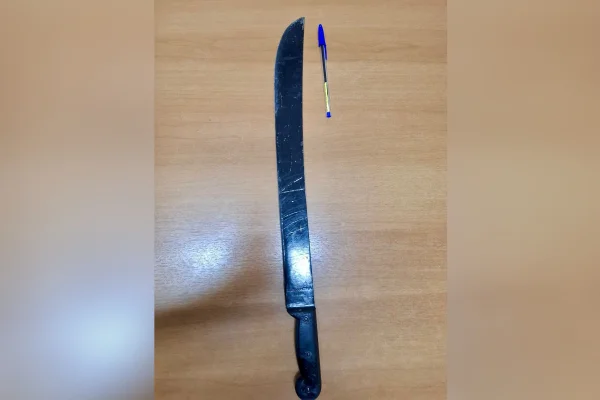 Imagem colorida de facão e caneta em cima de uma mesa. Metrópoles