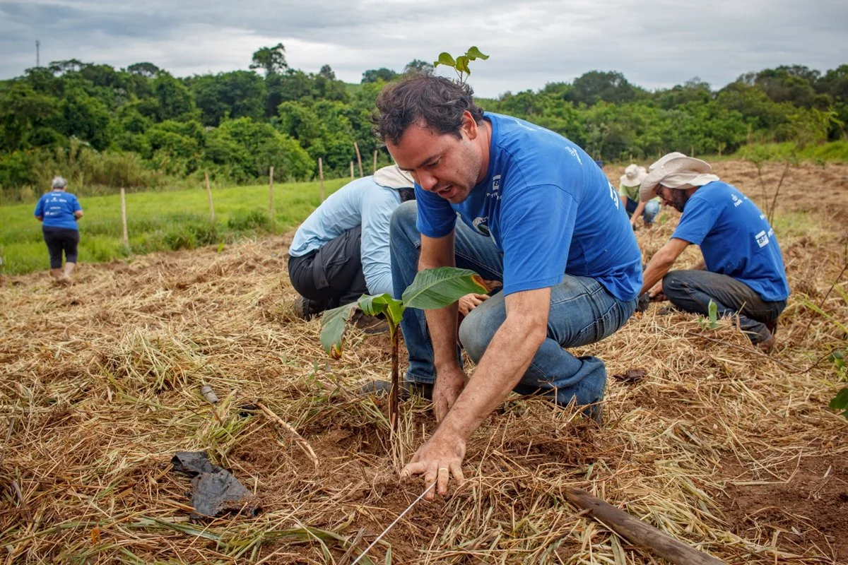 Corredor Caipira reconecta florestas isoladas no interior de SP e restaura mais de 115 hectares