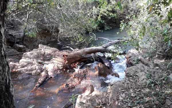 Criança morre após tronco de árvore cair sobre ela em cachoeira no DF