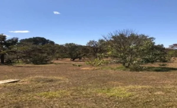 Praça do Poeta: Justiça anula edital que vendia área de preservação no Lago Sul