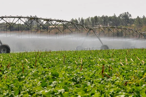Caesb usará R$ 2,3 milhões para revitalizar irrigação de áreas rurais