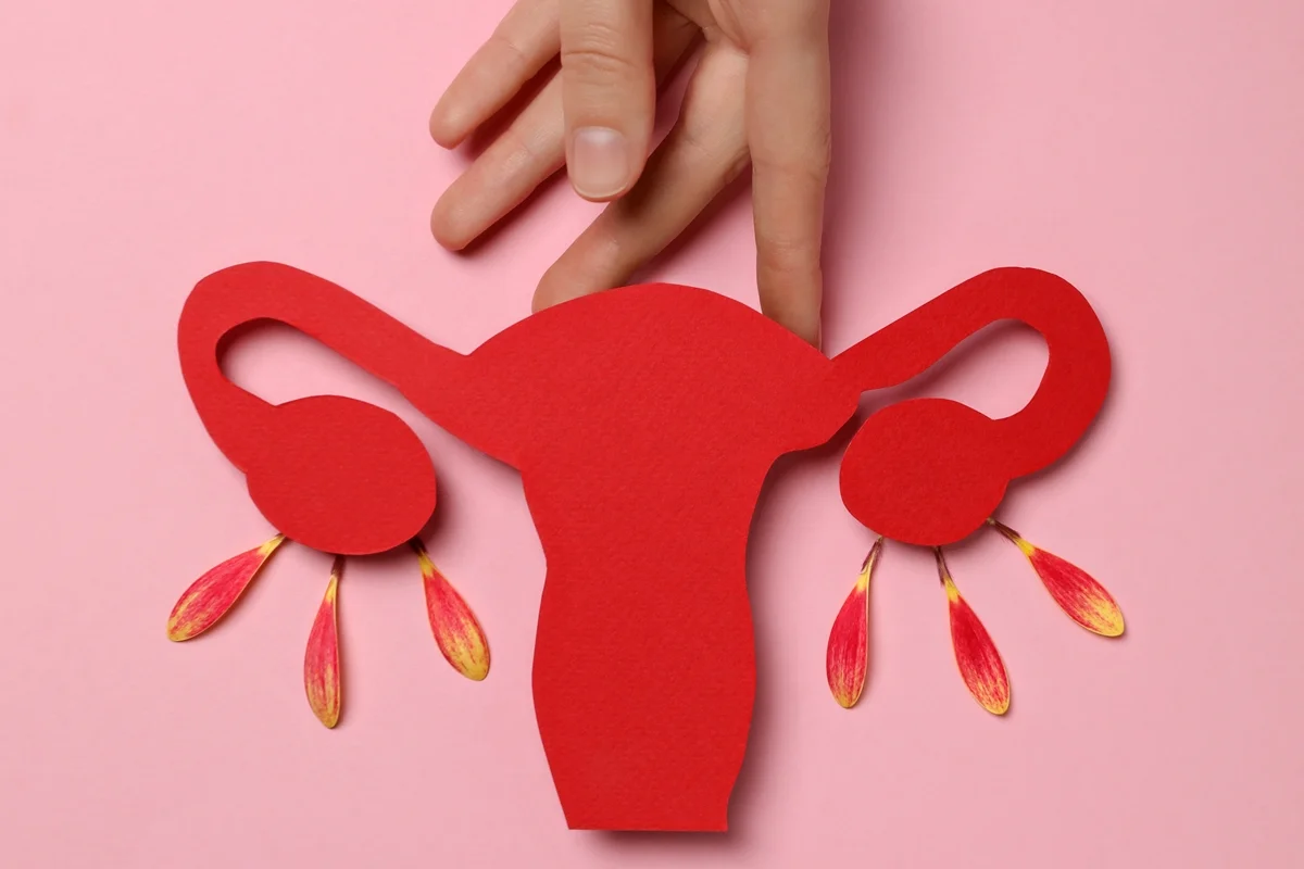 Estudo Inovador da Northwestern University Revela que Ovários Pós-Menopausa Podem Desempenhar Função Crucial no Sistema Imunológico
