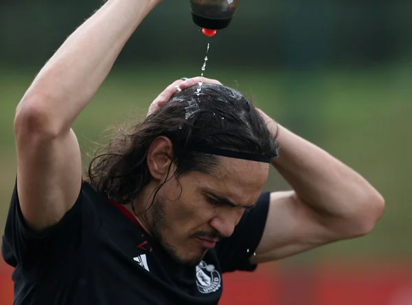 Edinson Cavani no Manchester United