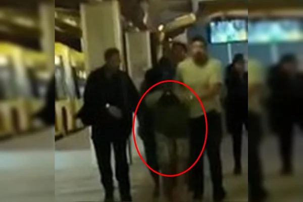 fugitivas da colmeia