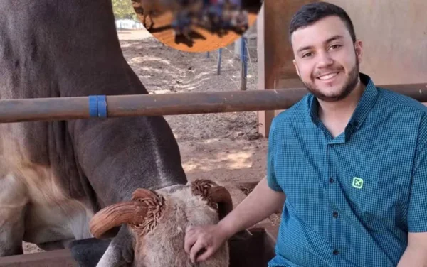 imagem colorida jovem morre ao atropelar cachorro goias