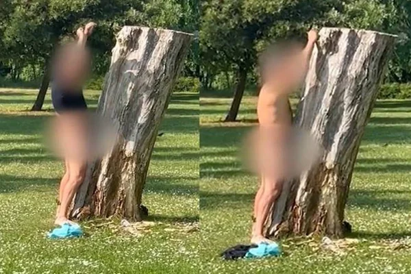 Homem fazendo Sexo com árvore - Metrópoles