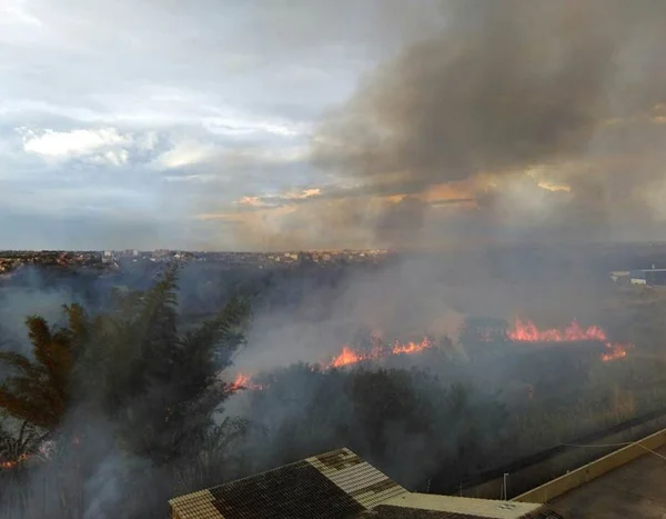 Incêndio atinge Parque de Águas Claras nesta sexta (28/10)