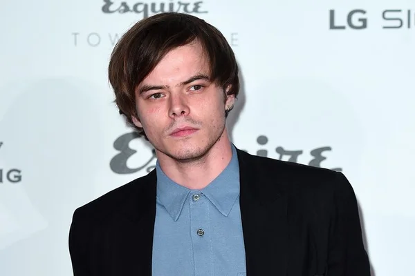Ator de “Stranger Things” é proibido de ir aos EUA por posse de droga