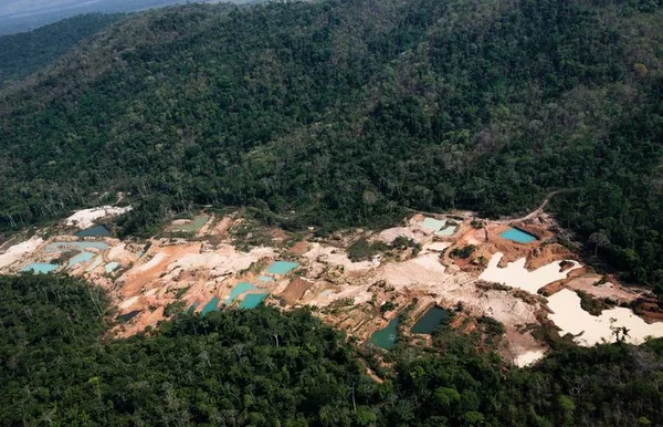 Técnicos do TCU pedem rejeição de investigação sobre extração de ouro em terras indígenas