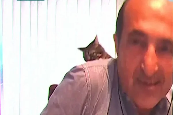 Vídeo: gato dá “tapa” em comentarista esportivo durante ao vivo na TV
