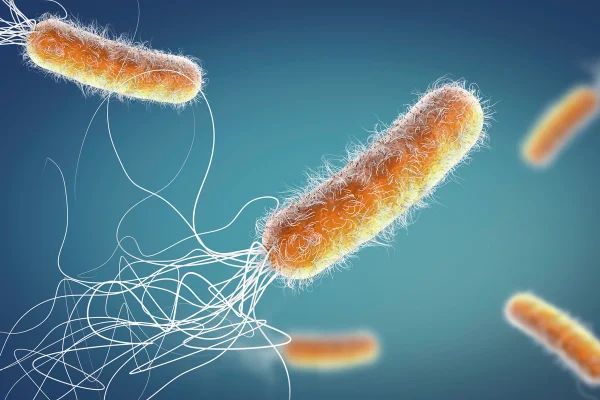 Ilustração 3d de bacterias Pseudomonas aeruginosa - Metrópoles